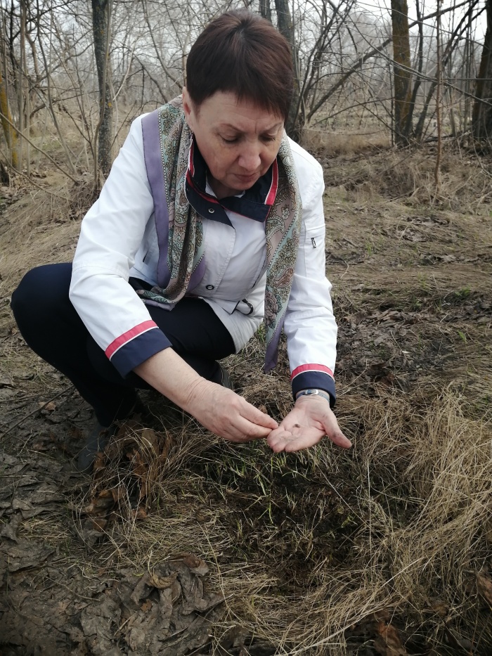Почвенные раскопки идут в Поворинском районе